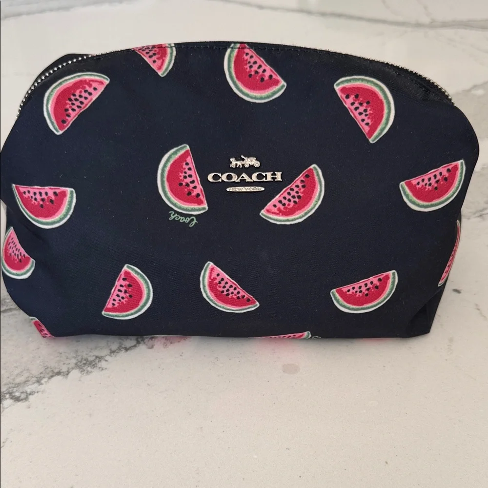 Coach Large Pouch with Watermelon Print